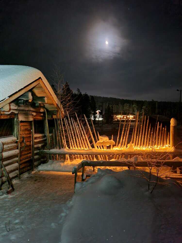 savusauna-susi-zsitz